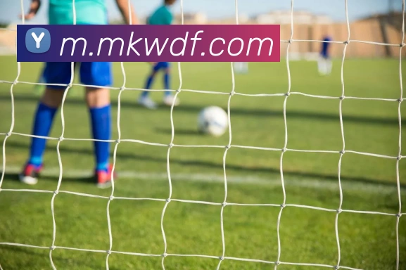 App Interface Preview